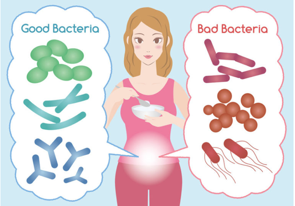 Harmful Bacteria in the Human Gut: A Closer Look